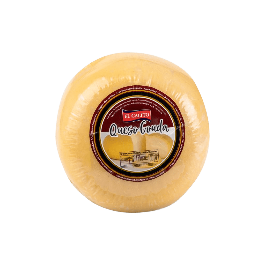 Queso Gouda